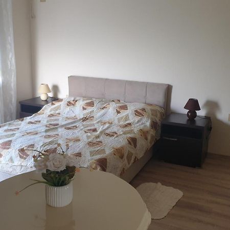 Apartments Kamenjar Nowy Sad Pokój zdjęcie